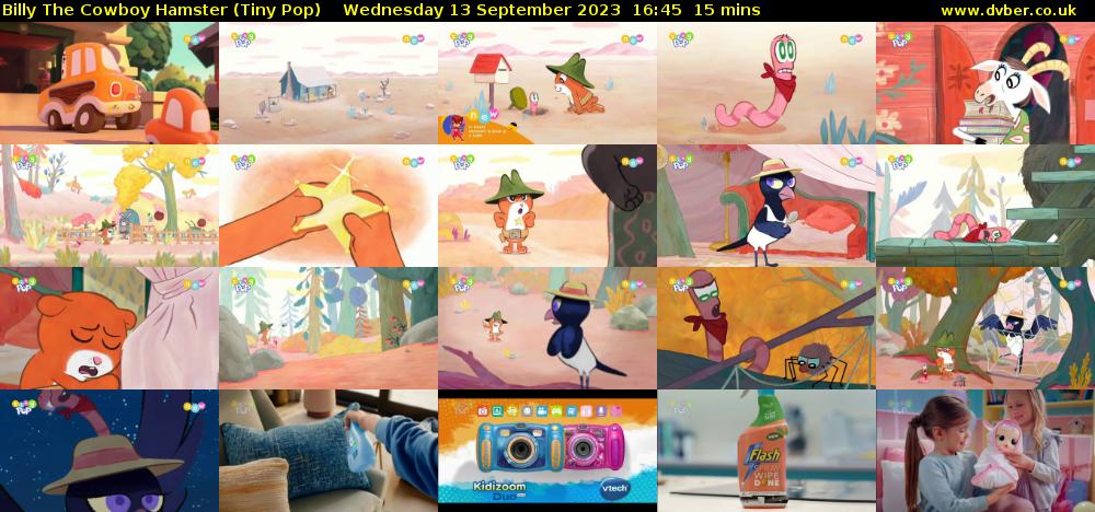Billy The Cowboy Hamster (Tiny Pop) Wednesday 13 September 2023 16:45 - 17:00