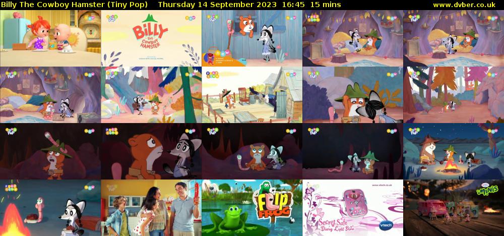 Billy The Cowboy Hamster (Tiny Pop) Thursday 14 September 2023 16:45 - 17:00