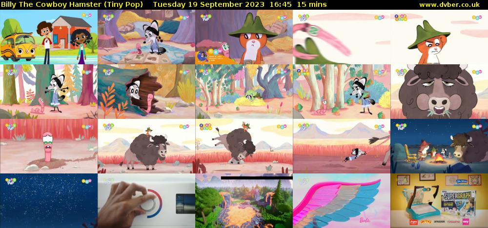 Billy The Cowboy Hamster (Tiny Pop) Tuesday 19 September 2023 16:45 - 17:00