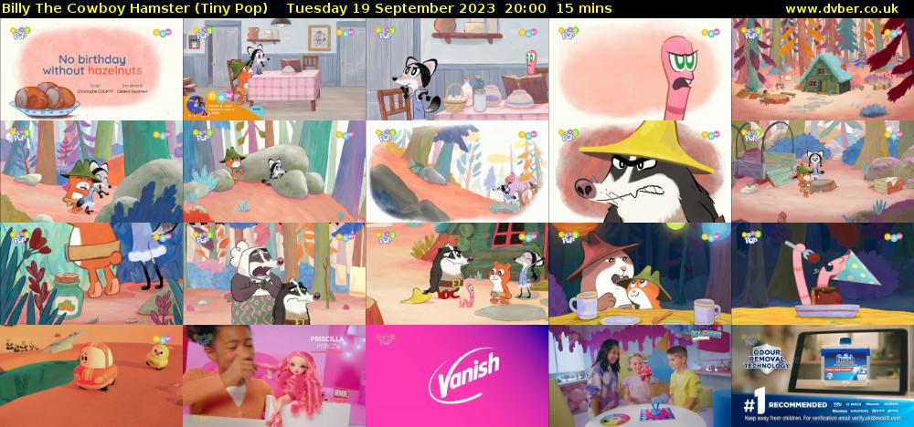 Billy The Cowboy Hamster (Tiny Pop) Tuesday 19 September 2023 20:00 - 20:15