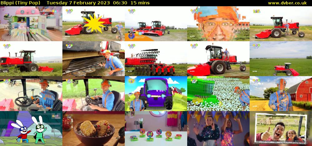 Blippi (Tiny Pop) Tuesday 7 February 2023 06:30 - 06:45