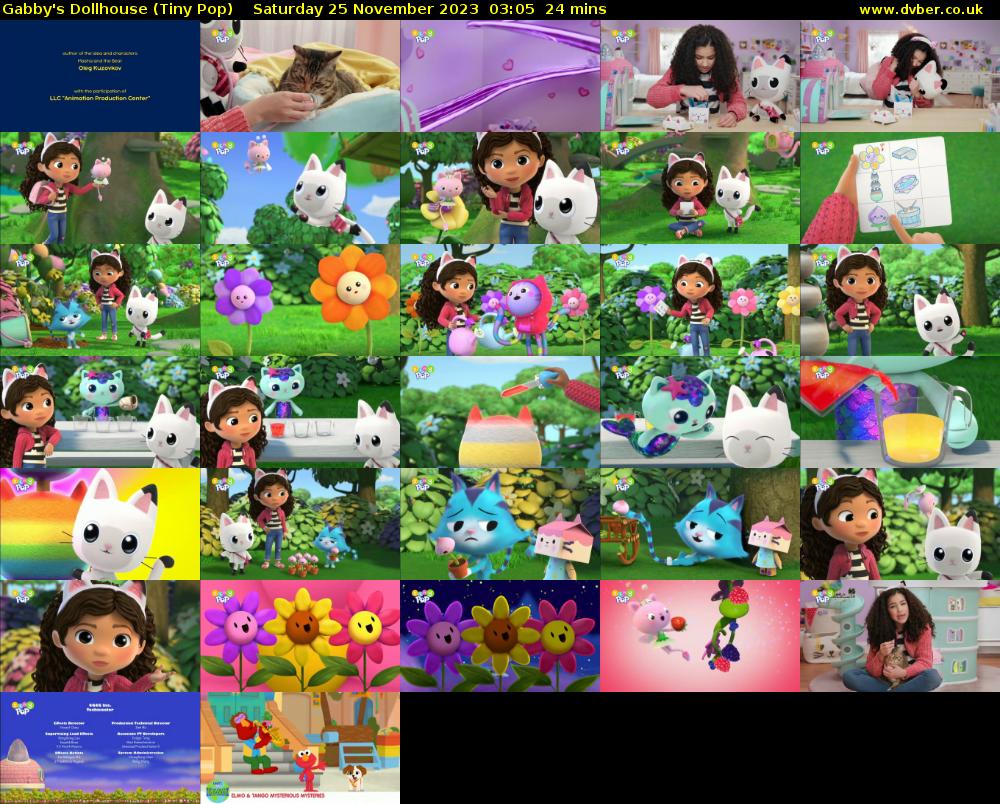Gabby's Dollhouse (Tiny Pop) Saturday 25 November 2023 03:05 - 03:29