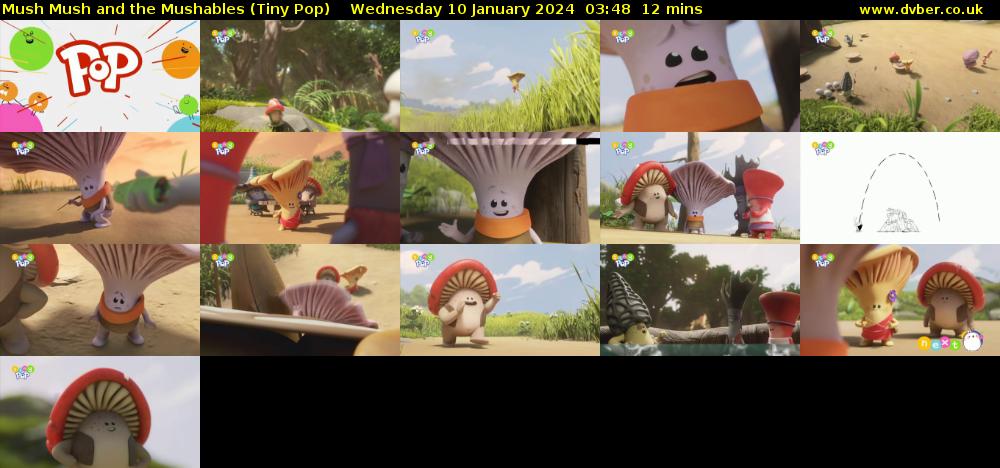 Mush Mush and the Mushables (Tiny Pop) Wednesday 10 January 2024 03:48 - 04:00