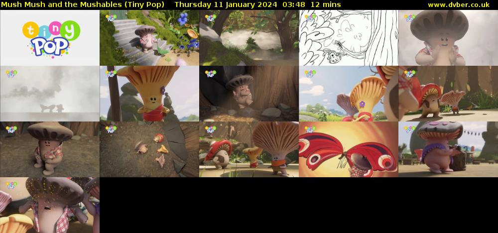 Mush Mush and the Mushables (Tiny Pop) Thursday 11 January 2024 03:48 - 04:00