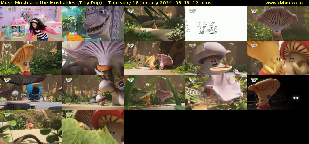 Mush Mush and the Mushables (Tiny Pop) Thursday 18 January 2024 03:48 - 04:00