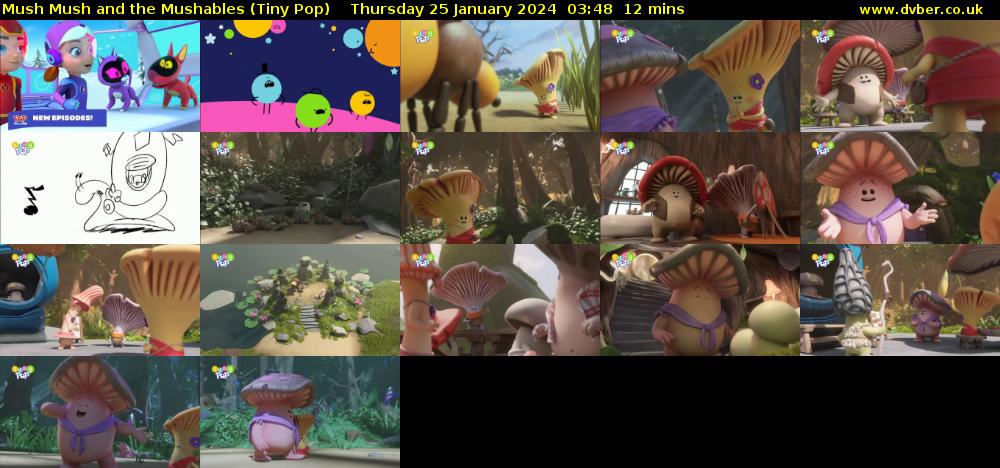 Mush Mush and the Mushables (Tiny Pop) Thursday 25 January 2024 03:48 - 04:00