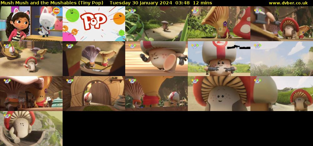 Mush Mush and the Mushables (Tiny Pop) Tuesday 30 January 2024 03:48 - 04:00