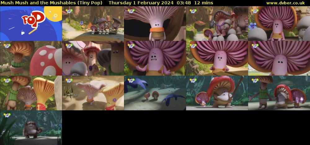 Mush Mush and the Mushables (Tiny Pop) Thursday 1 February 2024 03:48 - 04:00