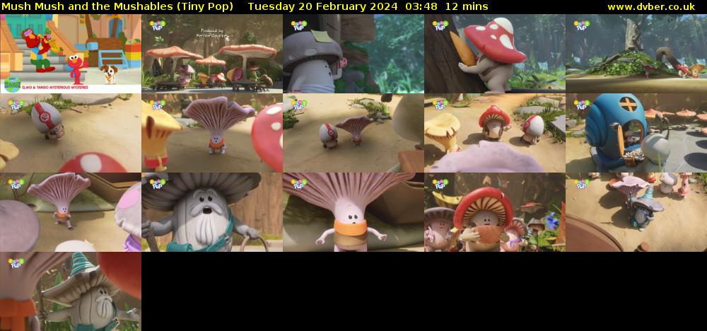 Mush Mush and the Mushables (Tiny Pop) Tuesday 20 February 2024 03:48 - 04:00