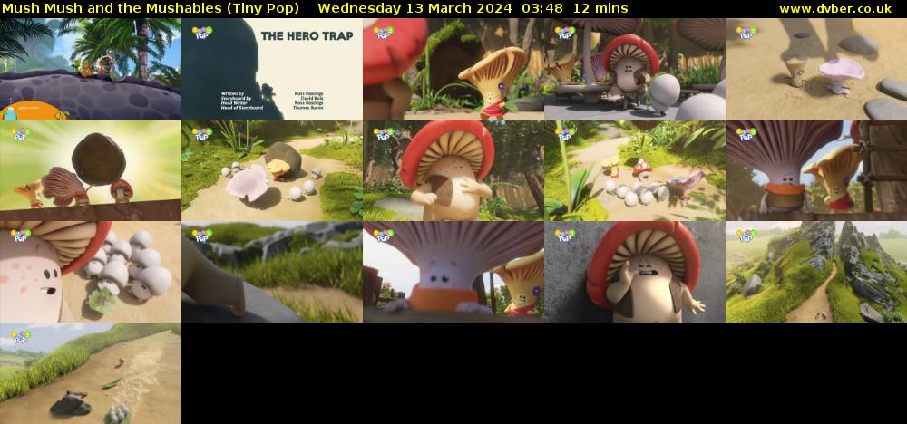 Mush Mush and the Mushables (Tiny Pop) Wednesday 13 March 2024 03:48 - 04:00
