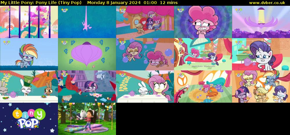 My Little Pony: Pony Life (Tiny Pop) Monday 8 January 2024 01:00 - 01:12