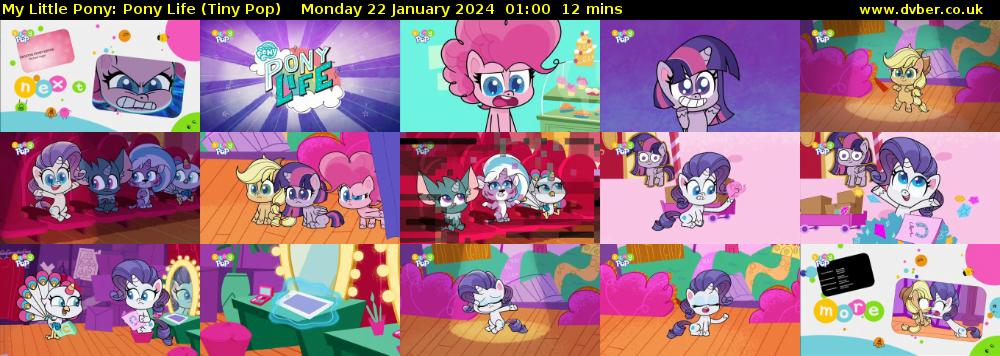 My Little Pony: Pony Life (Tiny Pop) Monday 22 January 2024 01:00 - 01:12