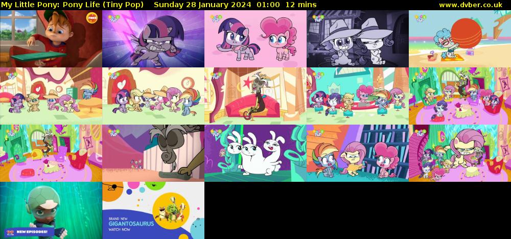 My Little Pony: Pony Life (Tiny Pop) Sunday 28 January 2024 01:00 - 01:12