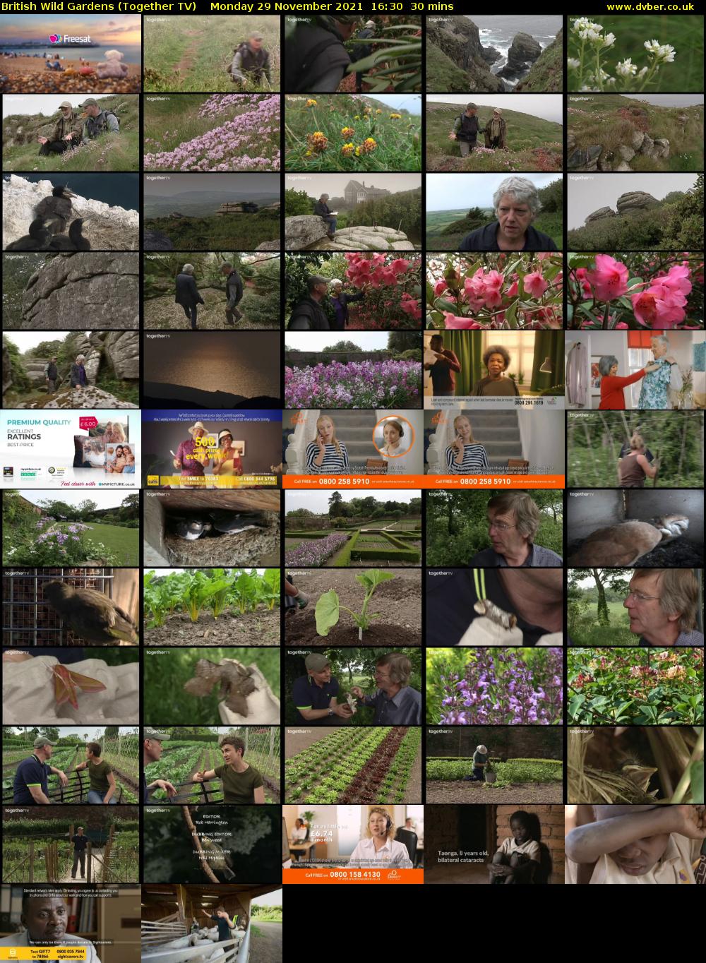 British Wild Gardens (Together TV) Monday 29 November 2021 16:30 - 17:00