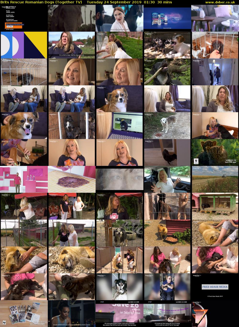 Brits Rescue Romanian Dogs (Together TV) Tuesday 24 September 2019 01:30 - 02:00