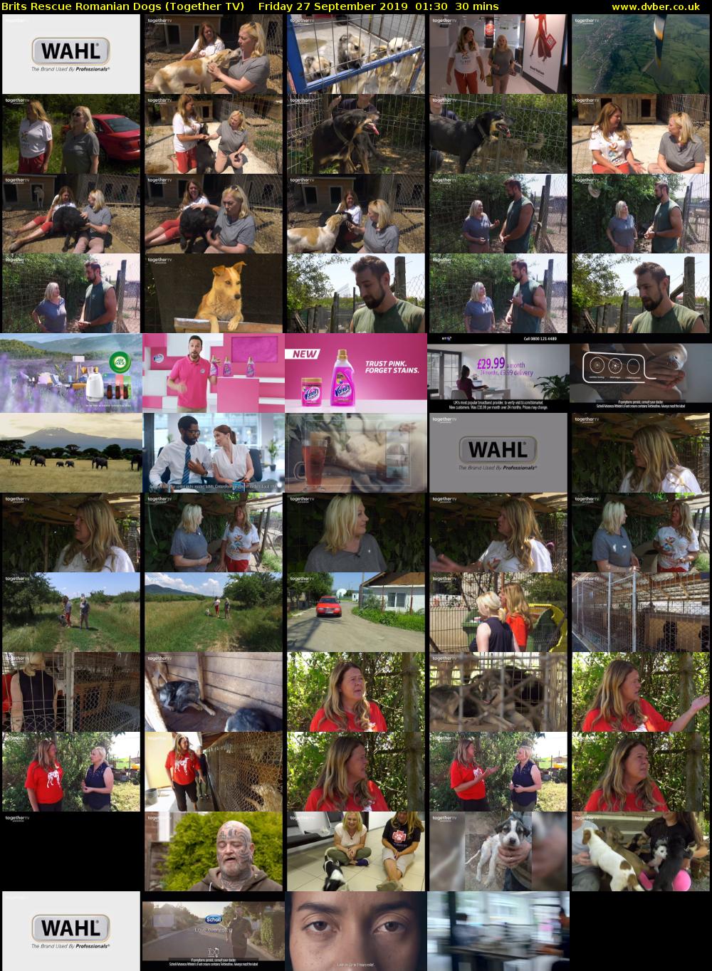 Brits Rescue Romanian Dogs (Together TV) Friday 27 September 2019 01:30 - 02:00