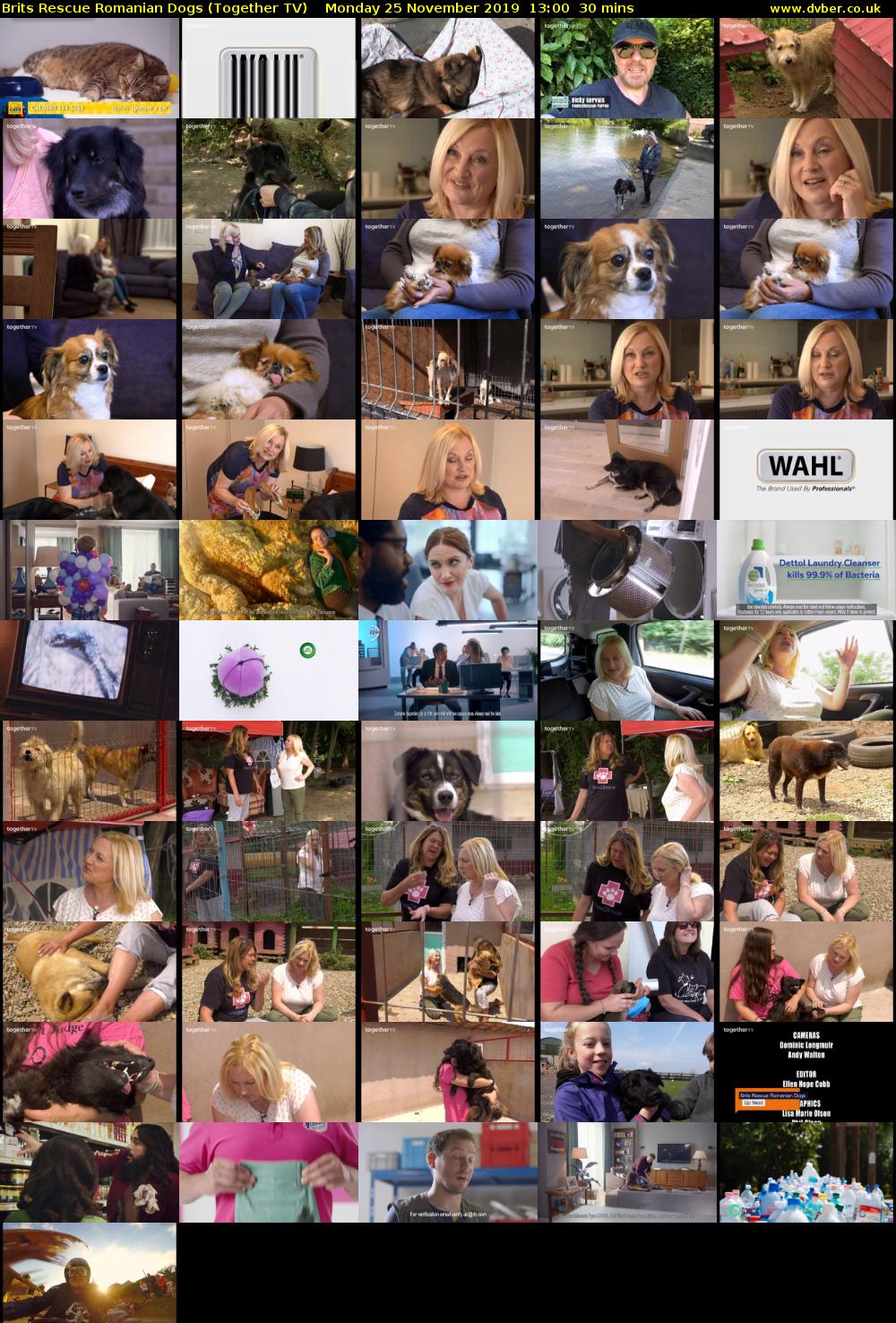 Brits Rescue Romanian Dogs (Together TV) Monday 25 November 2019 13:00 - 13:30