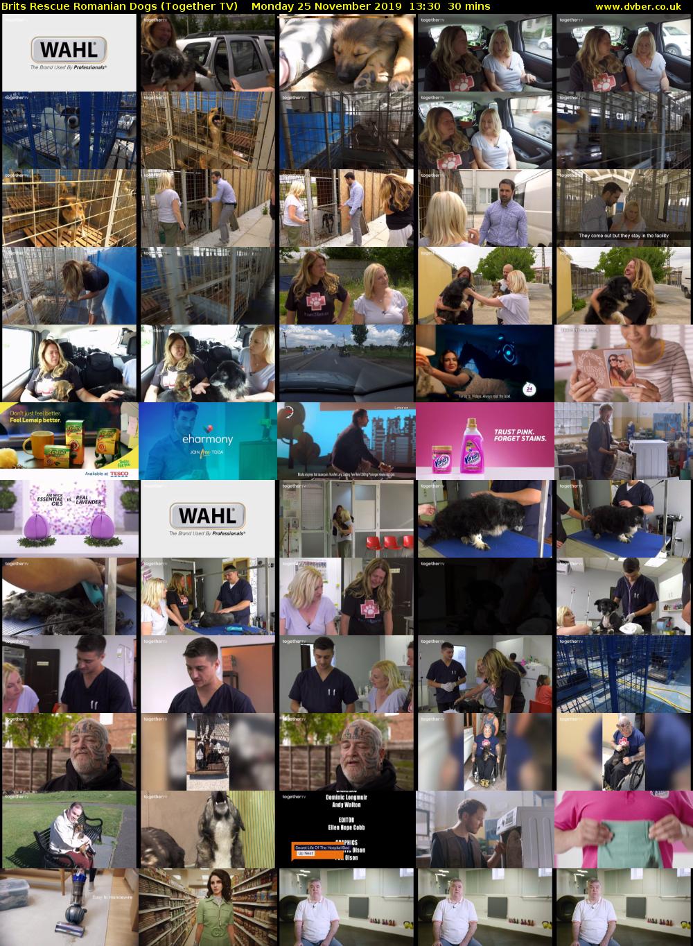 Brits Rescue Romanian Dogs (Together TV) Monday 25 November 2019 13:30 - 14:00