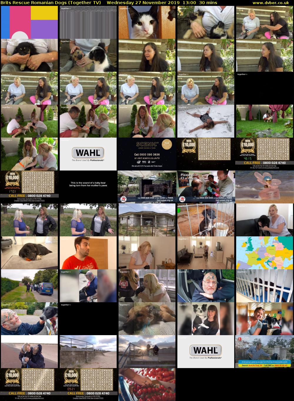 Brits Rescue Romanian Dogs (Together TV) Wednesday 27 November 2019 13:00 - 13:30
