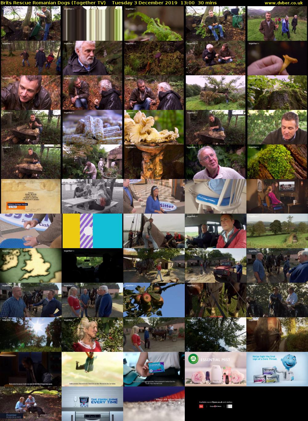 Brits Rescue Romanian Dogs (Together TV) Tuesday 3 December 2019 13:00 - 13:30