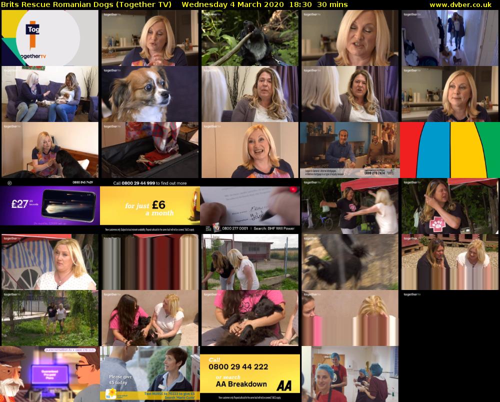 Brits Rescue Romanian Dogs (Together TV) Wednesday 4 March 2020 18:30 - 19:00