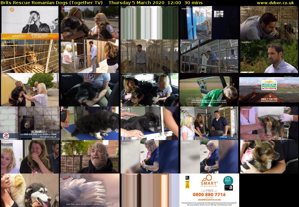 Brits Rescue Romanian Dogs (Together TV) Thursday 5 March 2020 12:00 - 12:30