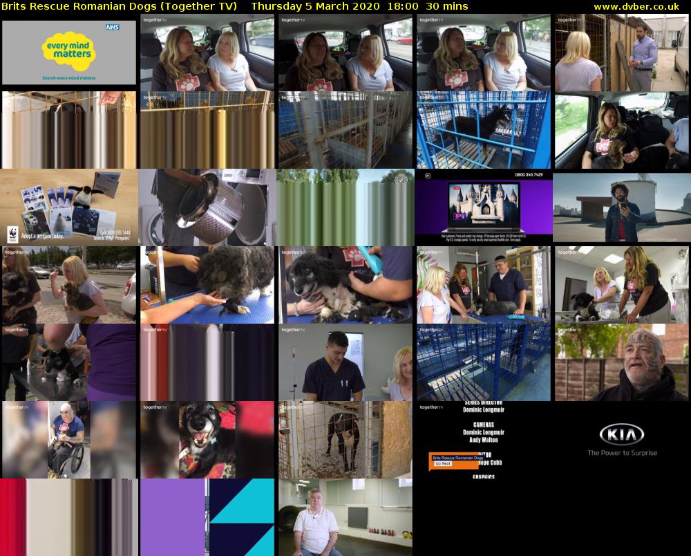 Brits Rescue Romanian Dogs (Together TV) Thursday 5 March 2020 18:00 - 18:30