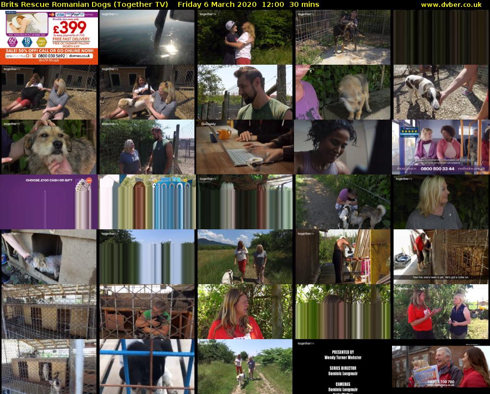 Brits Rescue Romanian Dogs (Together TV) Friday 6 March 2020 12:00 - 12:30