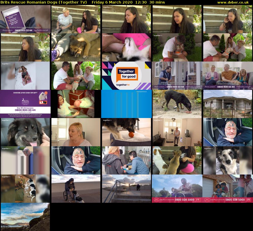 Brits Rescue Romanian Dogs (Together TV) Friday 6 March 2020 12:30 - 13:00