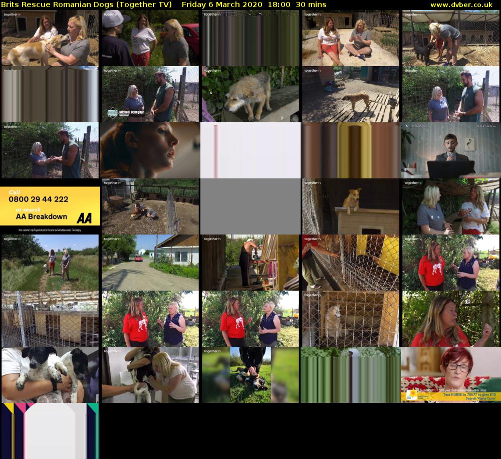 Brits Rescue Romanian Dogs (Together TV) Friday 6 March 2020 18:00 - 18:30