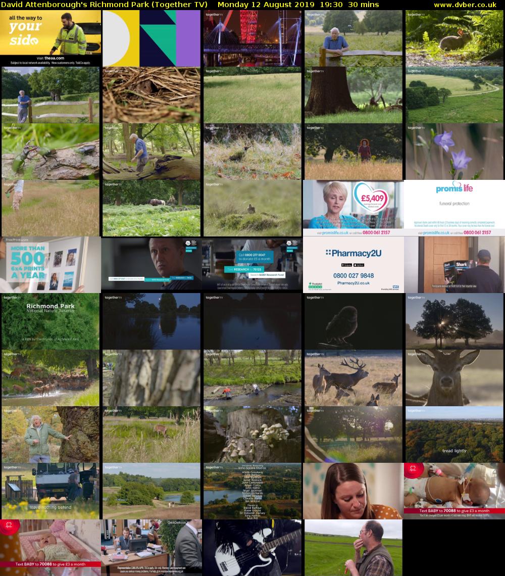 David Attenborough's Richmond Park (Together TV) Monday 12 August 2019 19:30 - 20:00