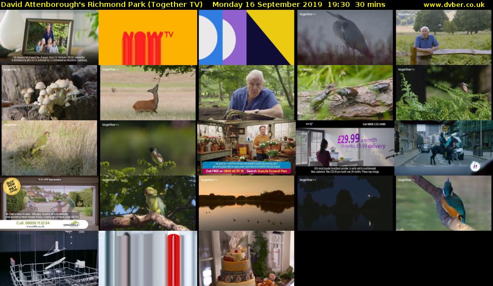 David Attenborough's Richmond Park (Together TV) Monday 16 September 2019 19:30 - 20:00