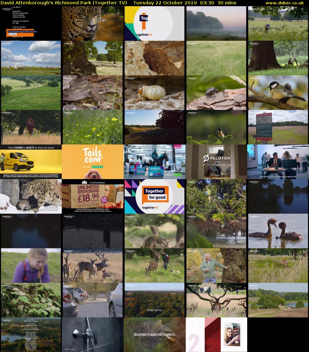 David Attenborough's Richmond Park (Together TV) Tuesday 22 October 2019 03:30 - 04:00
