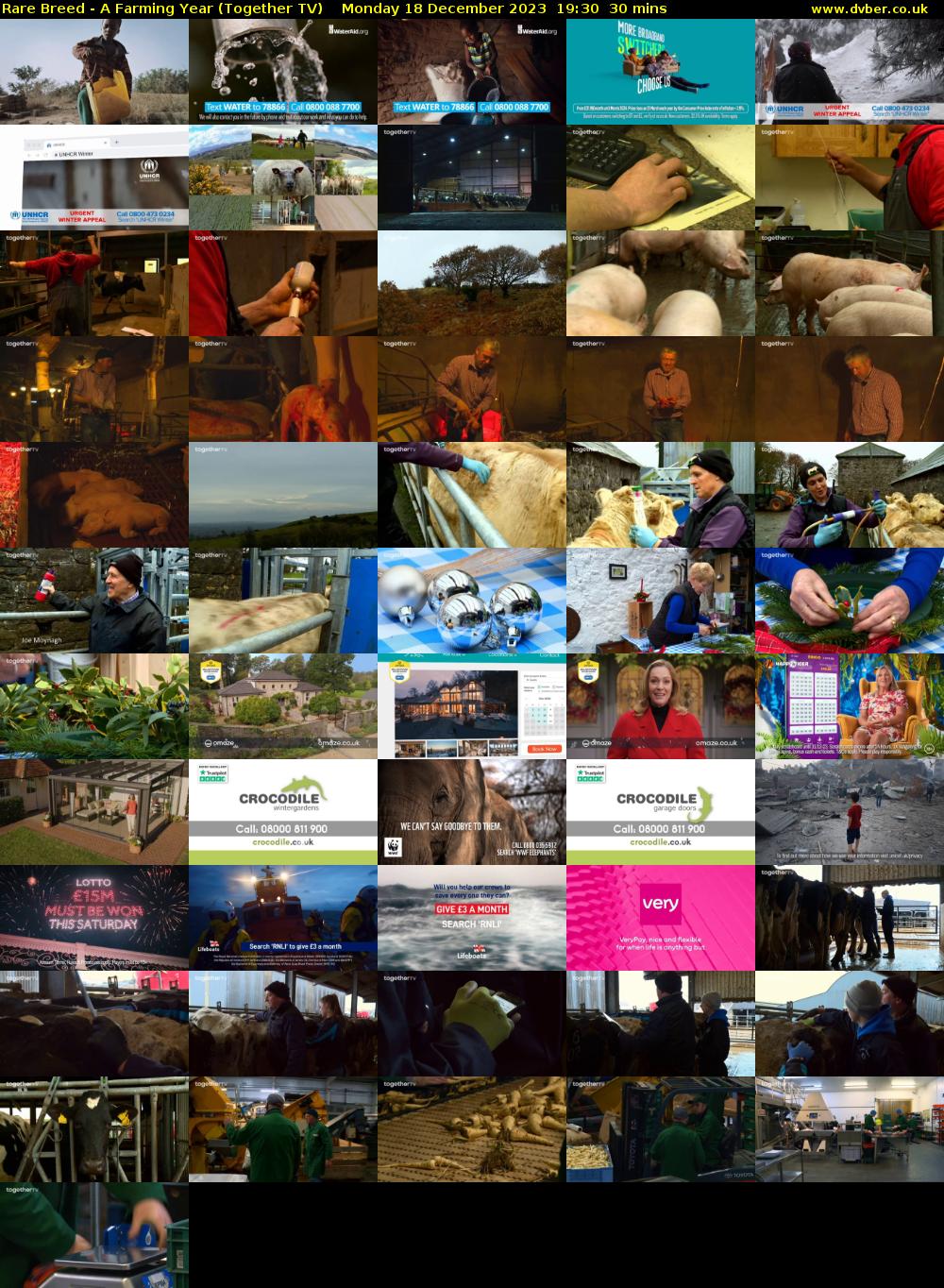 Rare Breed - A Farming Year (Together TV) Monday 18 December 2023 19:30 - 20:00