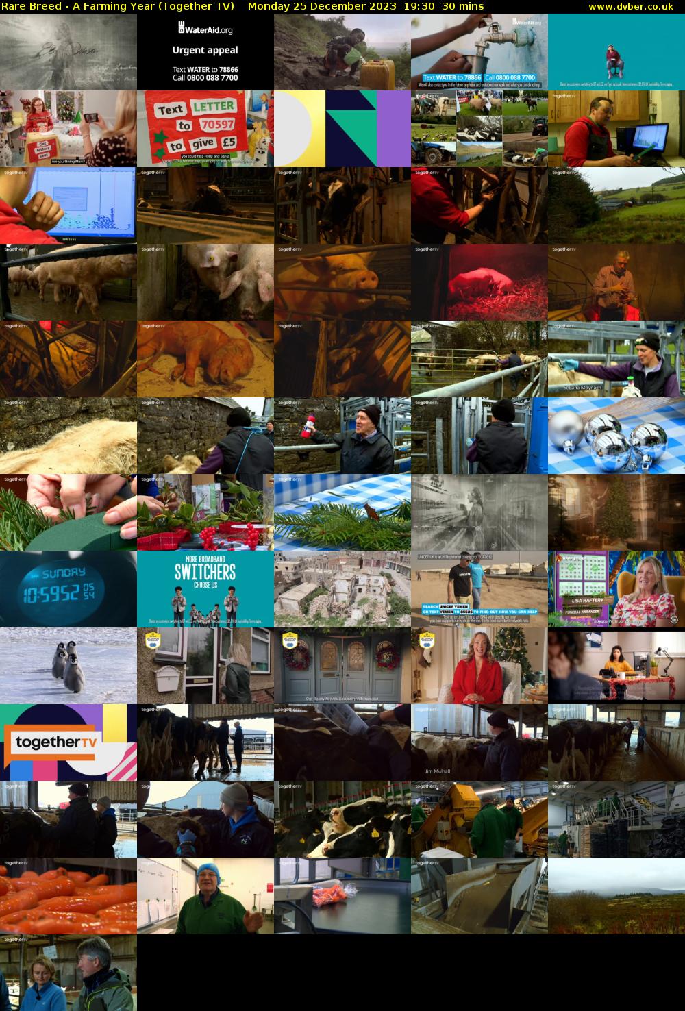 Rare Breed - A Farming Year (Together TV) Monday 25 December 2023 19:30 - 20:00