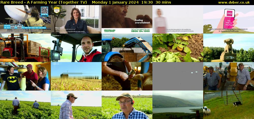 Rare Breed - A Farming Year (Together TV) Monday 1 January 2024 19:30 - 20:00