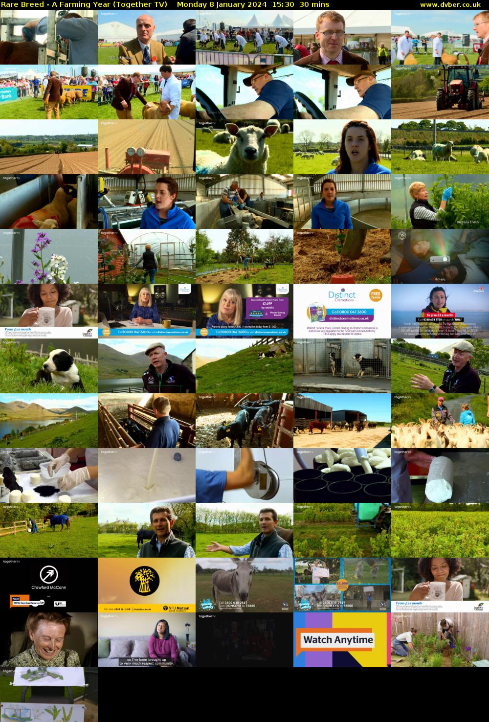 Rare Breed - A Farming Year (Together TV) Monday 8 January 2024 15:30 - 16:00