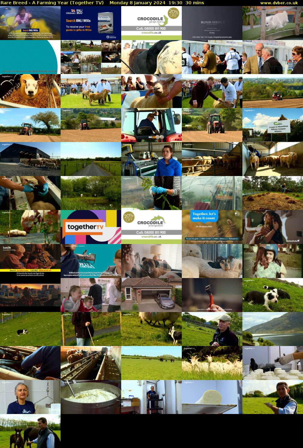 Rare Breed - A Farming Year (Together TV) Monday 8 January 2024 19:30 - 20:00