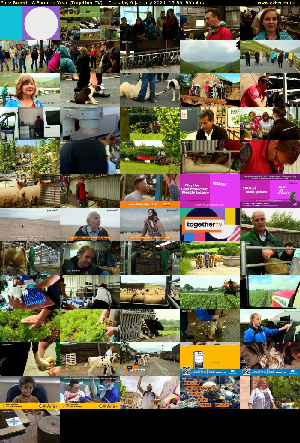 Rare Breed - A Farming Year (Together TV) Tuesday 9 January 2024 15:30 - 16:00