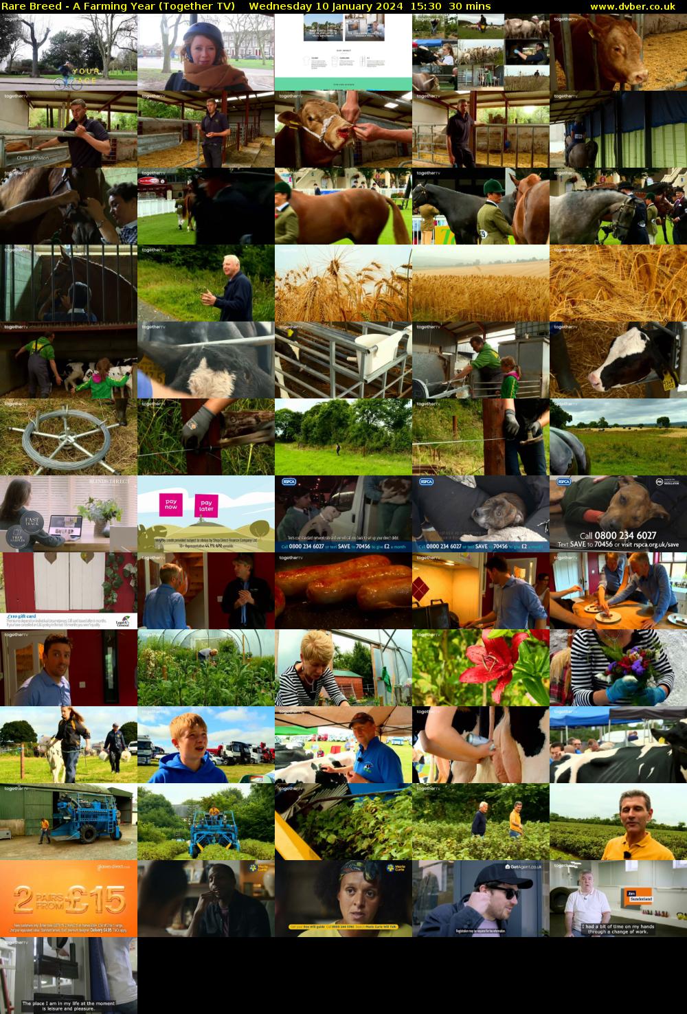 Rare Breed - A Farming Year (Together TV) Wednesday 10 January 2024 15:30 - 16:00