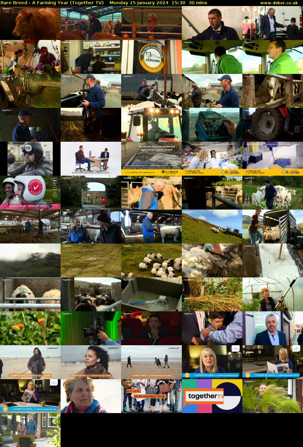 Rare Breed - A Farming Year (Together TV) Monday 15 January 2024 15:30 - 16:00