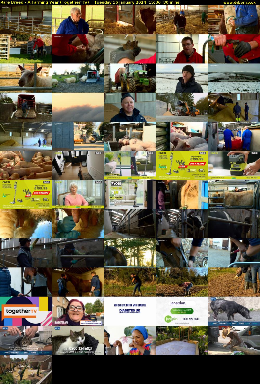 Rare Breed - A Farming Year (Together TV) Tuesday 16 January 2024 15:30 - 16:00