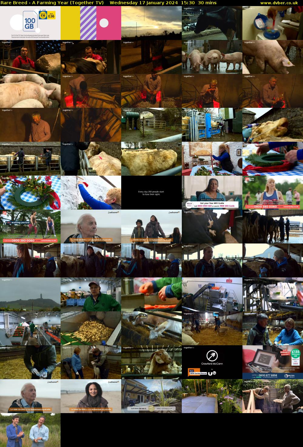 Rare Breed - A Farming Year (Together TV) Wednesday 17 January 2024 15:30 - 16:00