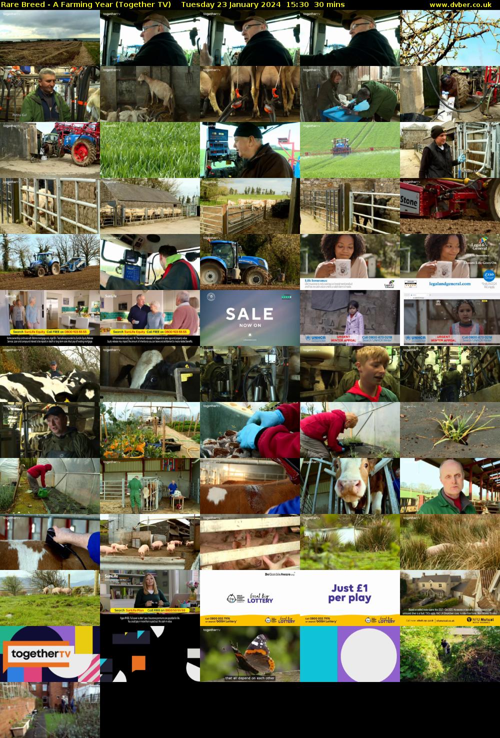 Rare Breed - A Farming Year (Together TV) Tuesday 23 January 2024 15:30 - 16:00