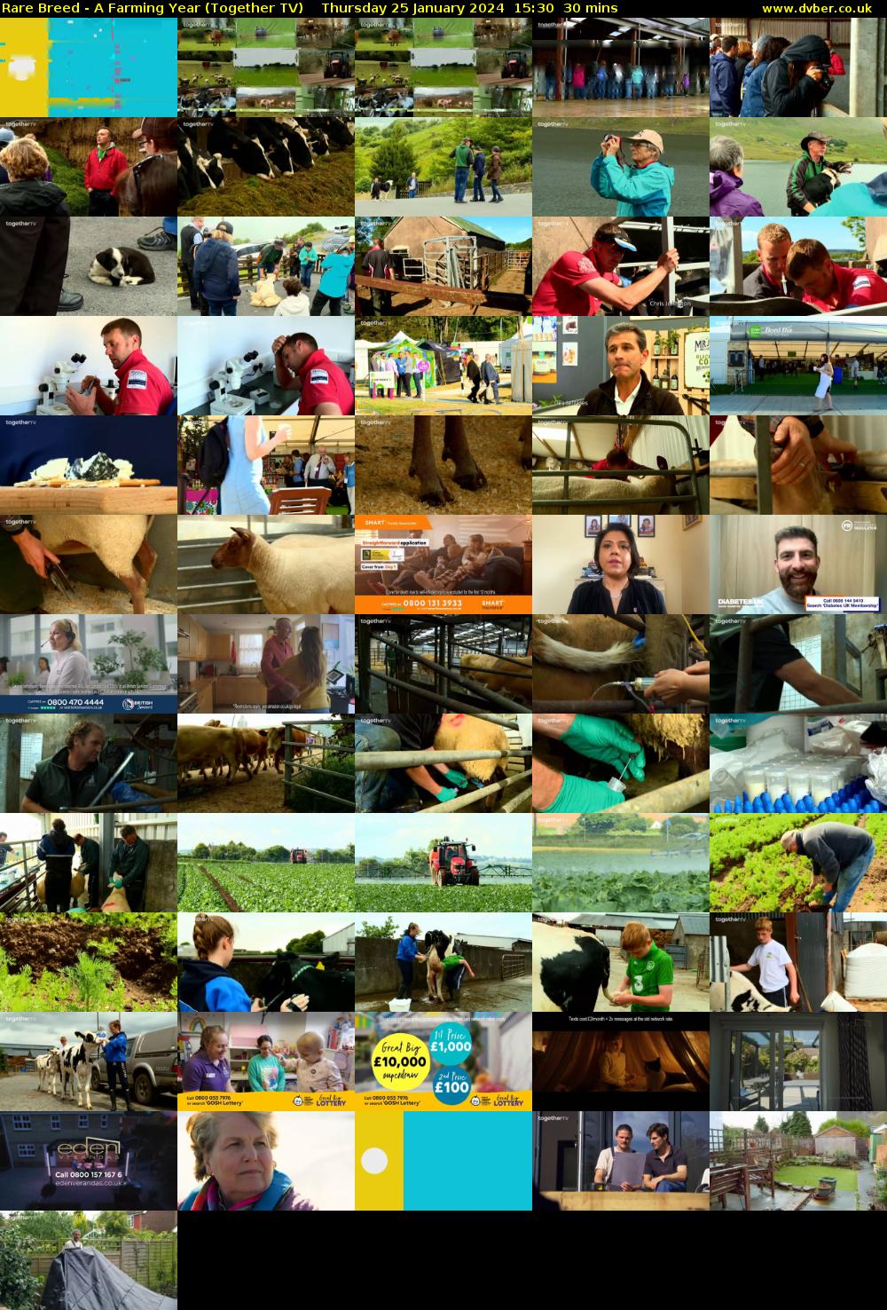 Rare Breed - A Farming Year (Together TV) Thursday 25 January 2024 15:30 - 16:00