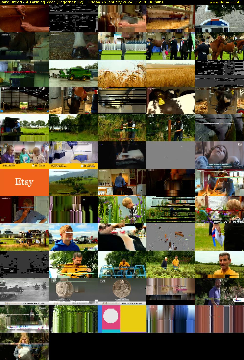 Rare Breed - A Farming Year (Together TV) Friday 26 January 2024 15:30 - 16:00