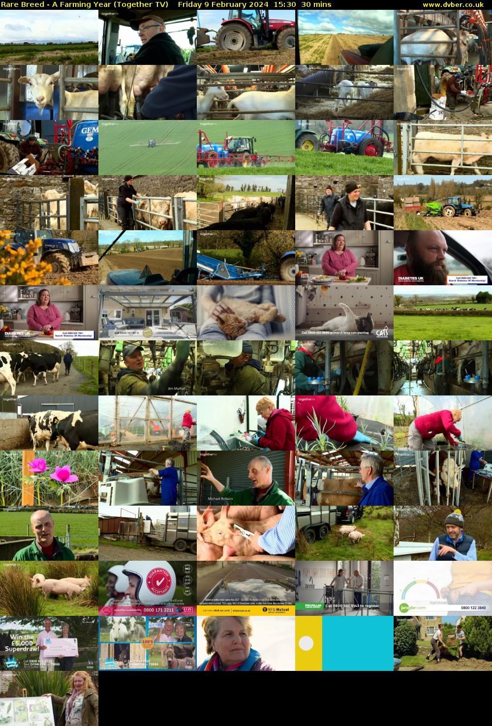 Rare Breed - A Farming Year (Together TV) Friday 9 February 2024 15:30 - 16:00
