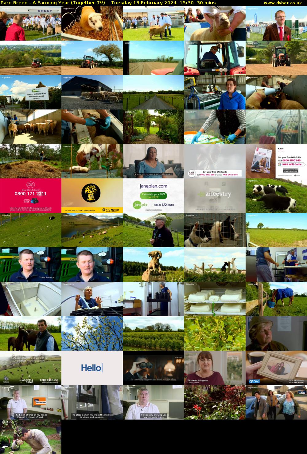 Rare Breed - A Farming Year (Together TV) Tuesday 13 February 2024 15:30 - 16:00