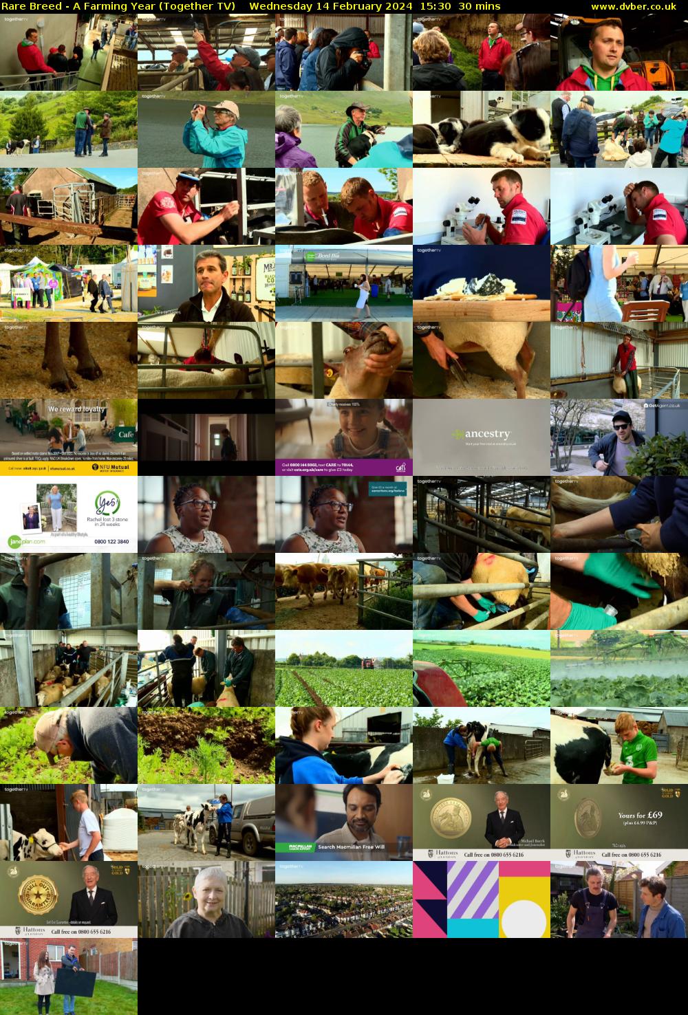 Rare Breed - A Farming Year (Together TV) Wednesday 14 February 2024 15:30 - 16:00