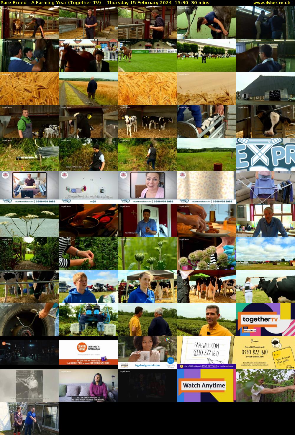 Rare Breed - A Farming Year (Together TV) Thursday 15 February 2024 15:30 - 16:00